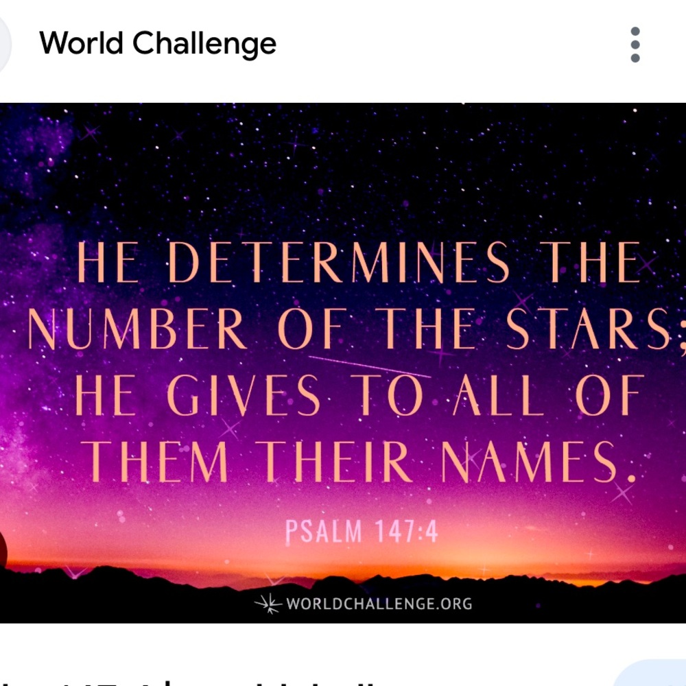 🌟🌟🌟